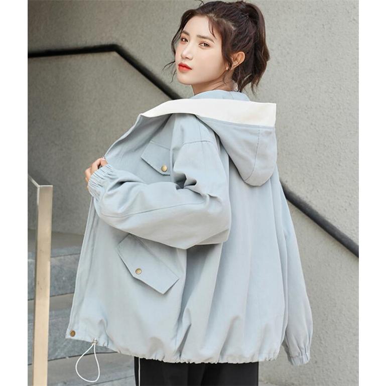 無法者 テント リベラル 春 ジャンパー レディース 要旨 類人猿 図書館