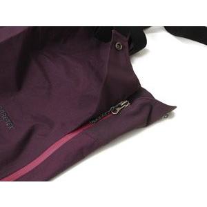 Patagonia パタゴニア GORE-TEX スーパーアルパイン ビブ 紫色