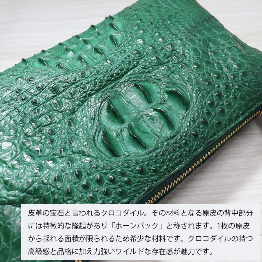 RODANIA（ロダニア） 訳あり 小キズあり ホーンバッククロコダイル 2
