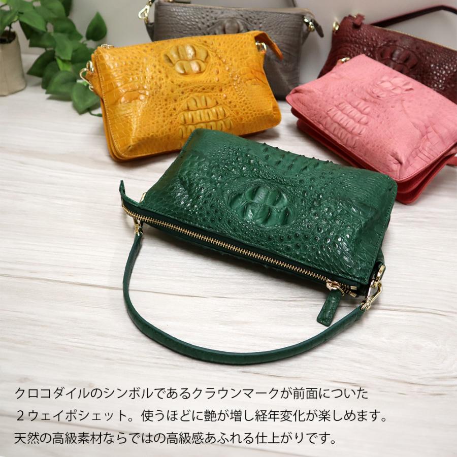RODANIA（ロダニア） 訳あり 小キズあり ホーンバッククロコダイル 2