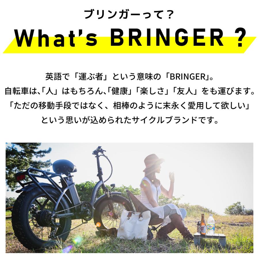 FAT-02 折りたたみ電動アシスト自転車 正規販売店 ファットバイク 20インチ シャンパンゴールド ベージュ グレー ブルー 前かご スマホホルダー 極太タイヤ 爆買 |  | 09