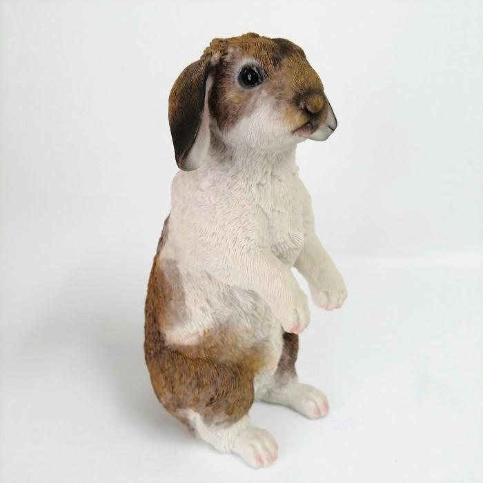 9月下旬再入荷 置物 庭 ガーデン オーナメント オブジェ 飾り ラビット ホーランドロップ Cg Ts 14 Cg Ts 14 ガーデニング雑貨toolbox 通販 Yahoo ショッピング