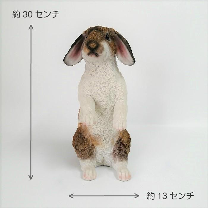 9月下旬再入荷 置物 庭 ガーデン オーナメント オブジェ 飾り ラビット ホーランドロップ Cg Ts 14 Cg Ts 14 ガーデニング雑貨toolbox 通販 Yahoo ショッピング