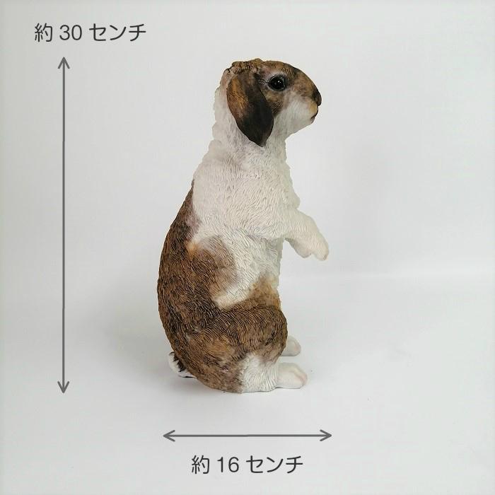 9月下旬再入荷 置物 庭 ガーデン オーナメント オブジェ 飾り ラビット ホーランドロップ Cg Ts 14 Cg Ts 14 ガーデニング雑貨toolbox 通販 Yahoo ショッピング