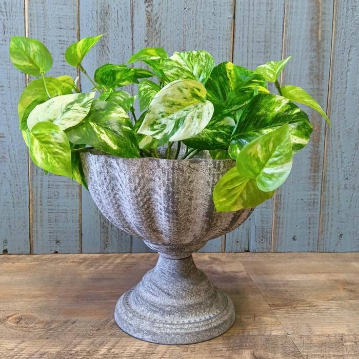 L3501-20-1 英国アンティーク ブリキ バケツ ジャンク 鉢 ポット