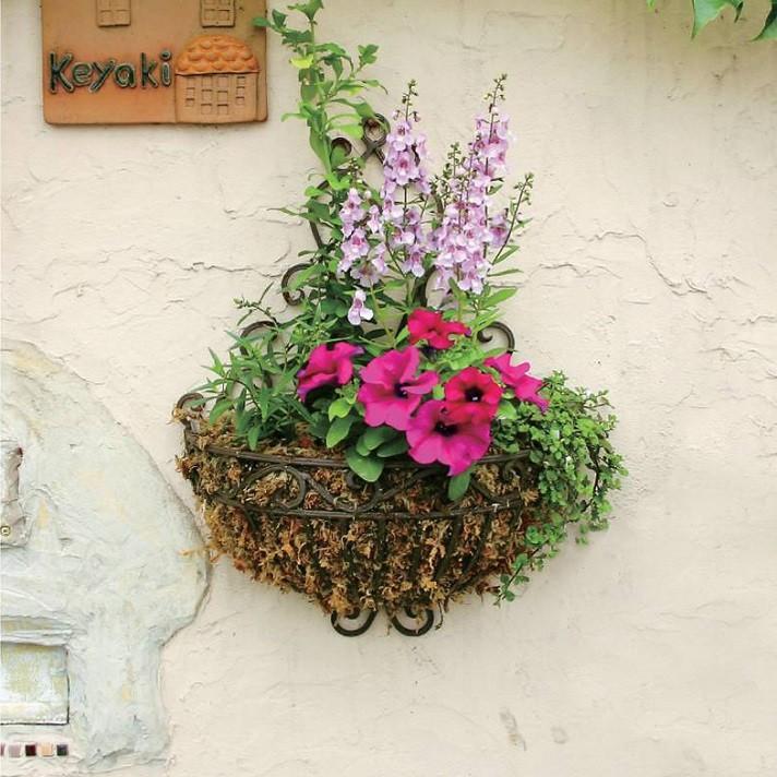 ガーデニング雑貨 アイアンウォールバスケット Cv 04 60 ハンギングバスケット アイアン 吊り下げ 壁掛け Cv 04 60 ガーデニング雑貨toolbox 通販 Yahoo ショッピング