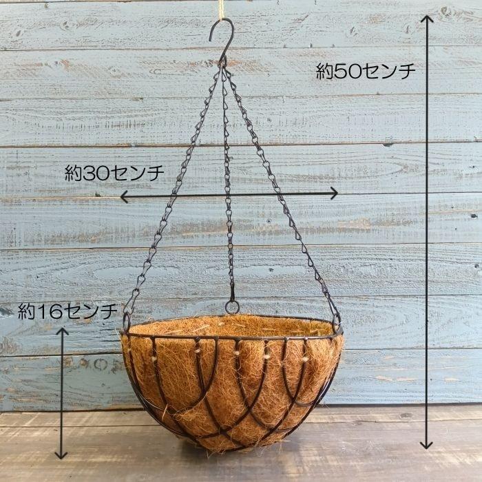 ガーデニング 雑貨 ハンギングバスケット アイアン 吊り下げ 壁掛け