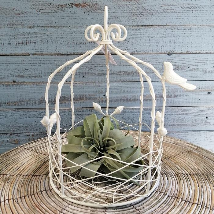 アンティークな鳥かご アンティークな鳥かご - coyoco - BOOTH