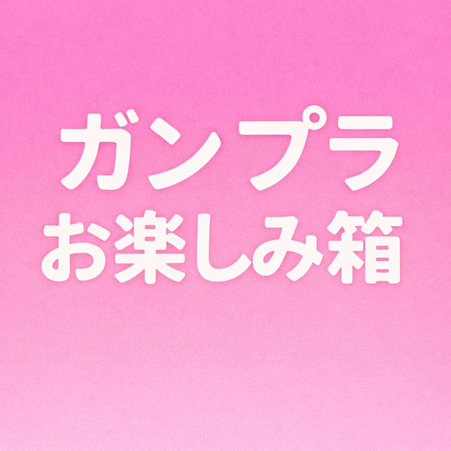 ガンプラお楽しみ箱 2 : ST SHOP - 通販 - Yahoo!ショッピング