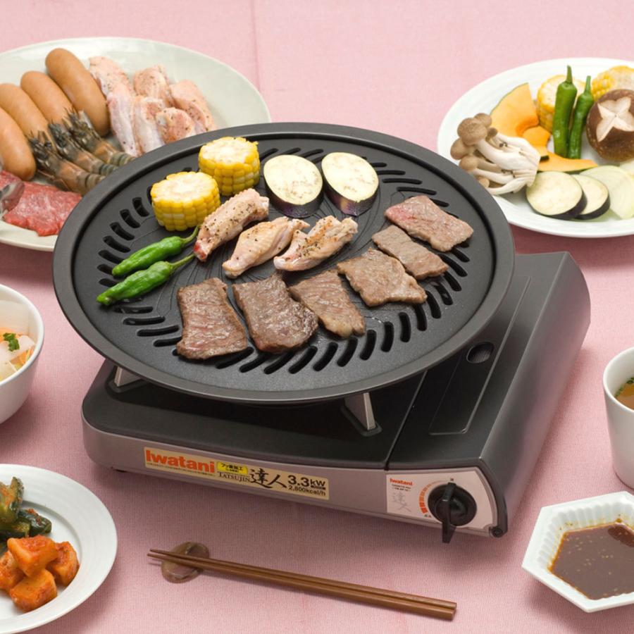 Iwatani（イワタニ） 焼肉プレート カセットフー専用 プレートのみ CB