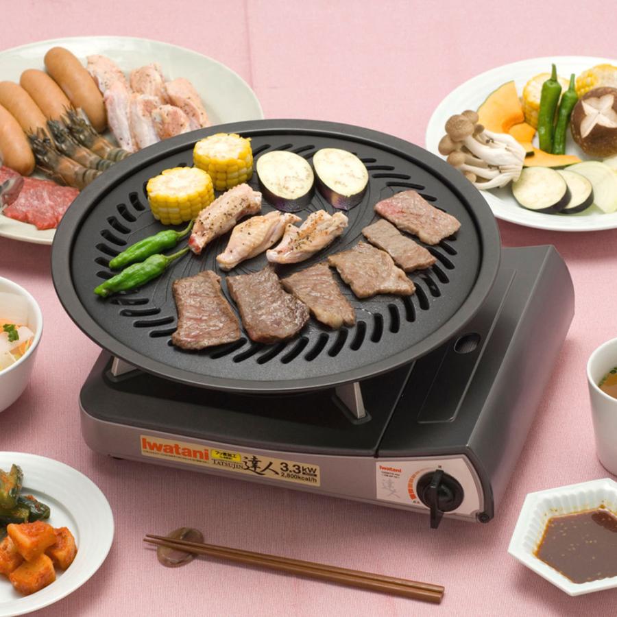 焼肉プレート イワタニ カセットフー専用 プレートのみ CB-A-YPL