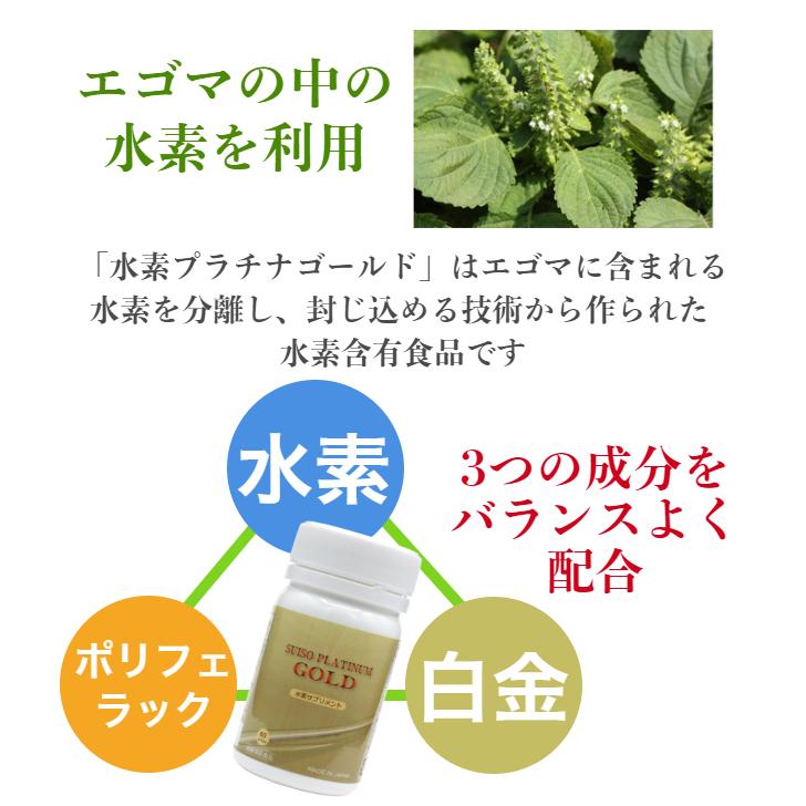 水素 サプリメント 水素プラチナゴールド 水素サプリ 水素