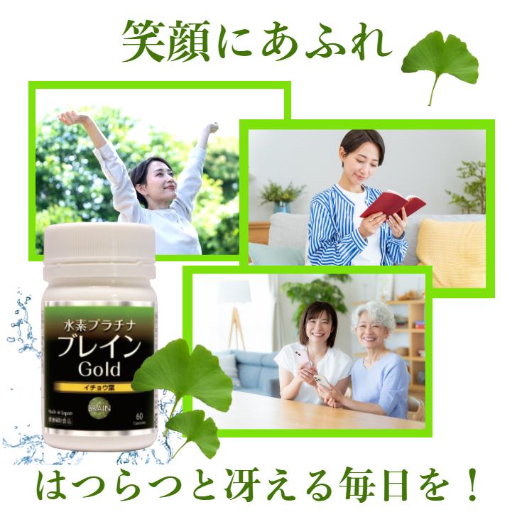 イチョウ葉 水素プラチナブレインゴールド 水素 サプリメント 水素