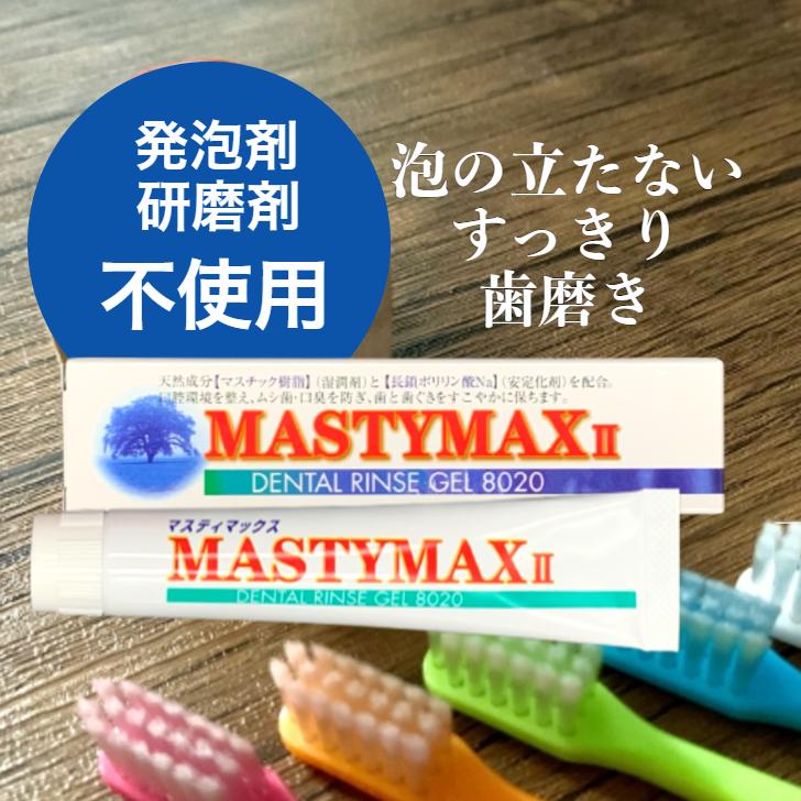 マスティック マスティマックス2 45g ポリリン酸ナトリウム 歯みがき