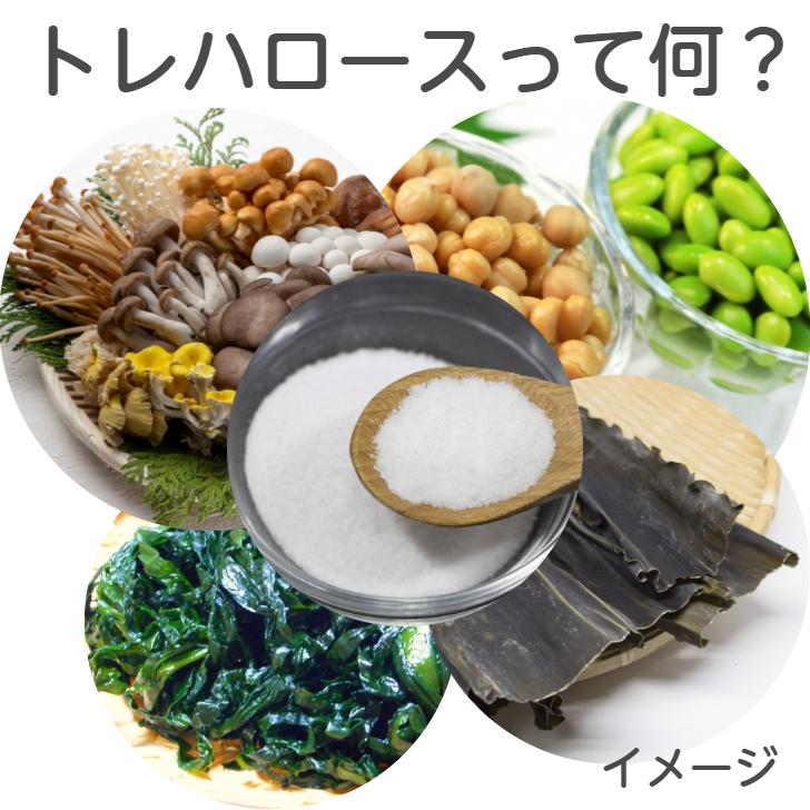 トレハロース トレハ 550g トレハロース100 食品 粉末 国産 食品添加物 チャック付き スタンドパック 製菓 製パン ご飯 和菓子 お ...