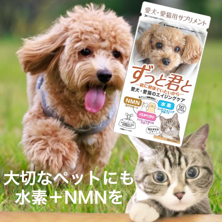 ペット 水素 NMN サプリメント 水素サプリ 水素パウダー ずっと君と 犬