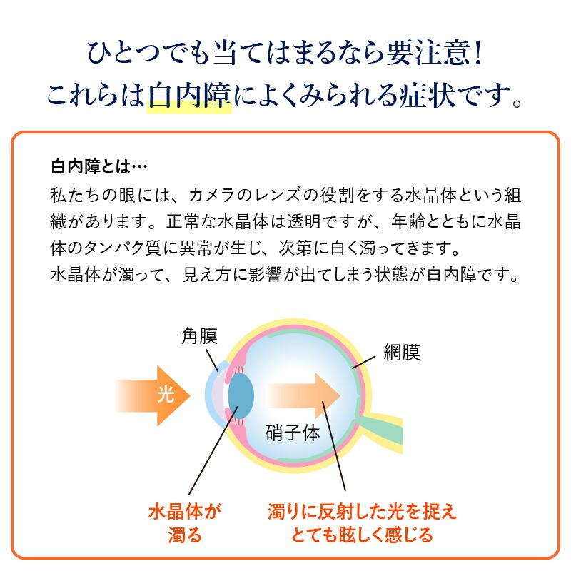 ネオコントラスト 2162 サングラス 白内障 術後 保護メガネ 手術前 視界 改善 予防 UVカット 車 夜間 運転 ドライブ ネオコントラスト グラス レディース｜sabae｜06