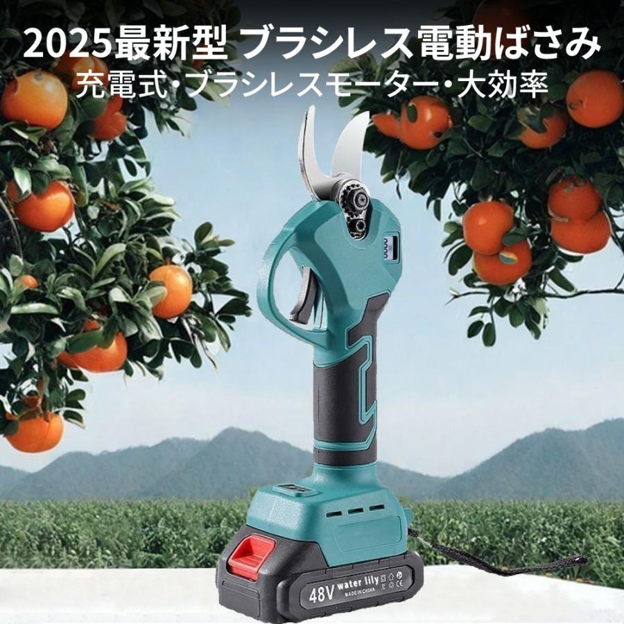 剪定ばさみ 充電式 高枝切り マキタ バッテリー互換 200cm延長ポール