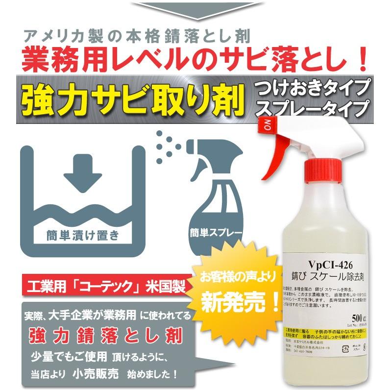 超強力サビ取り剤 プロ業務用サビ落としスプレーガン付 漬け置きさび