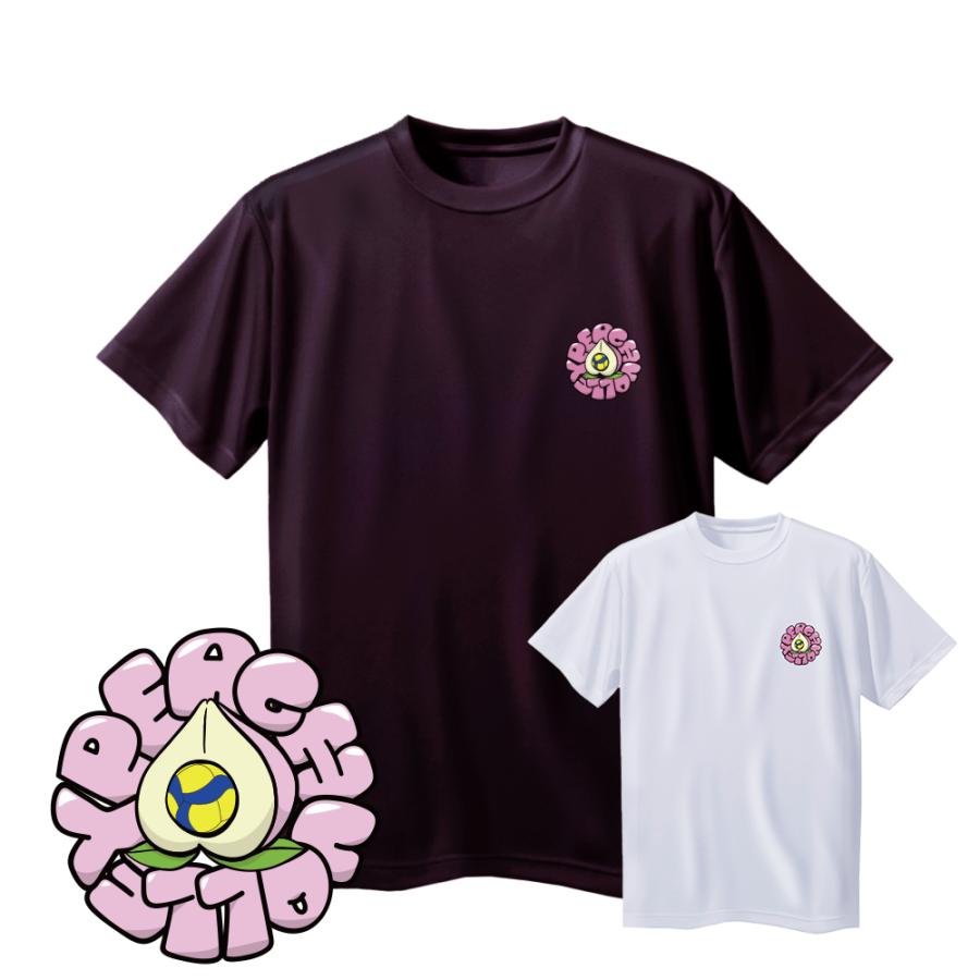 バレーボール ウェア 半袖 メンズ Tシャツ 「ピーチバレー」 左胸ワン