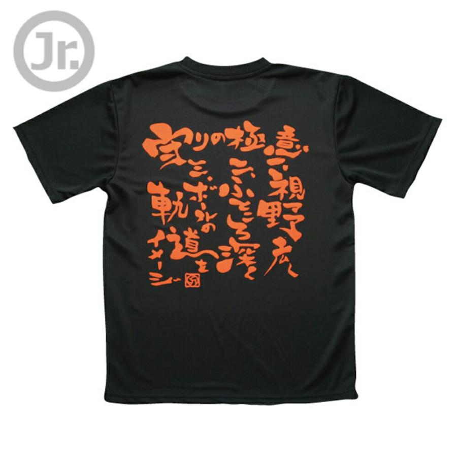 バレーボール 練習着 ジュニア 半袖 Tシャツ 「守りの極意」 (ノース