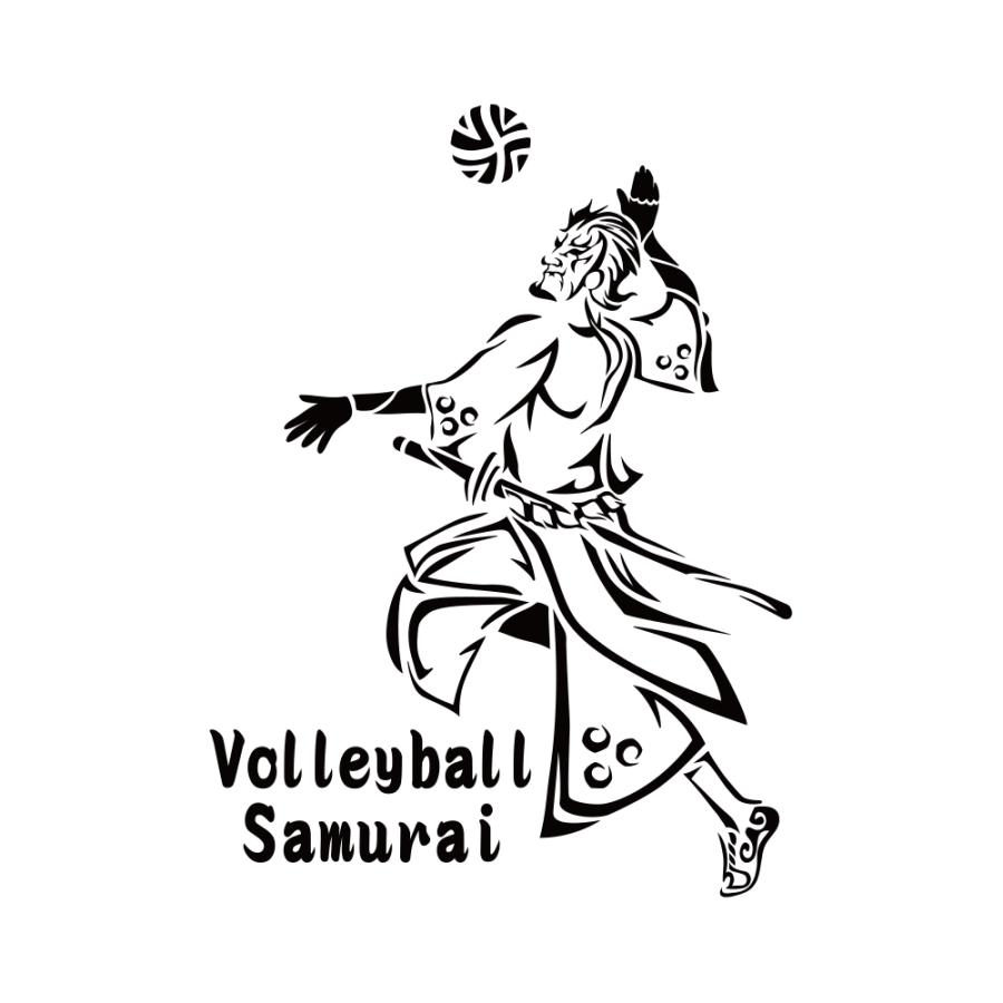 Hayle Mサイズ バレーボールシャツ アシックス バレーボールTシャツメンズMサイズ - メルカリ