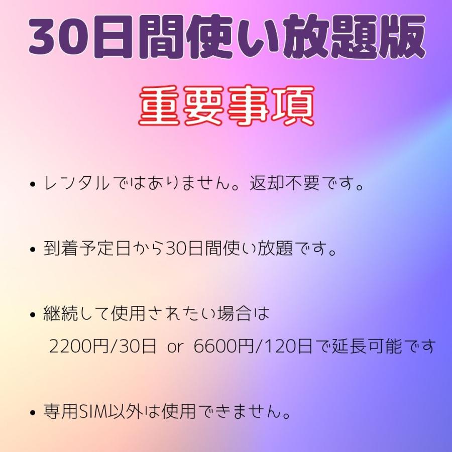 GPS 発信機 ミニ リアルタイム 小型 浮気調査 動態管理 車両取付