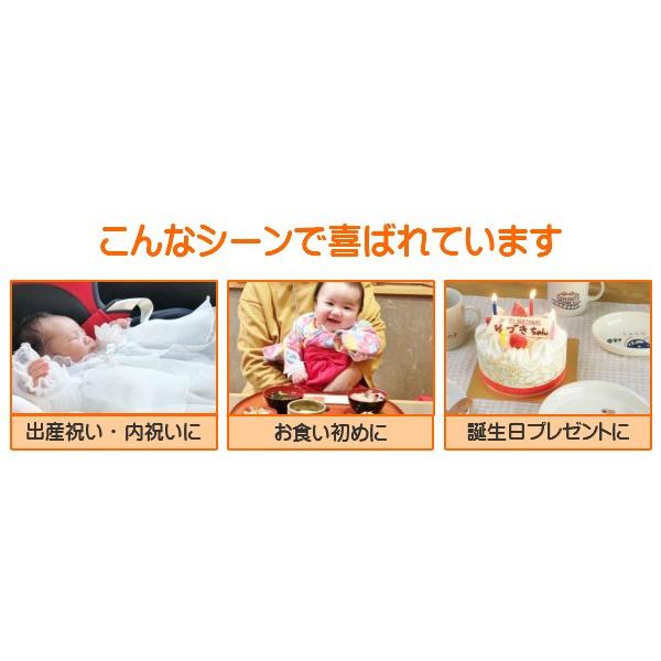 名入れ 食器 4点セット  出産祝い お食い初め 誕生日プレゼント 子供食器名前入り 子ども食器セット ベビー食器　男の子 女の子 ギフトの画像