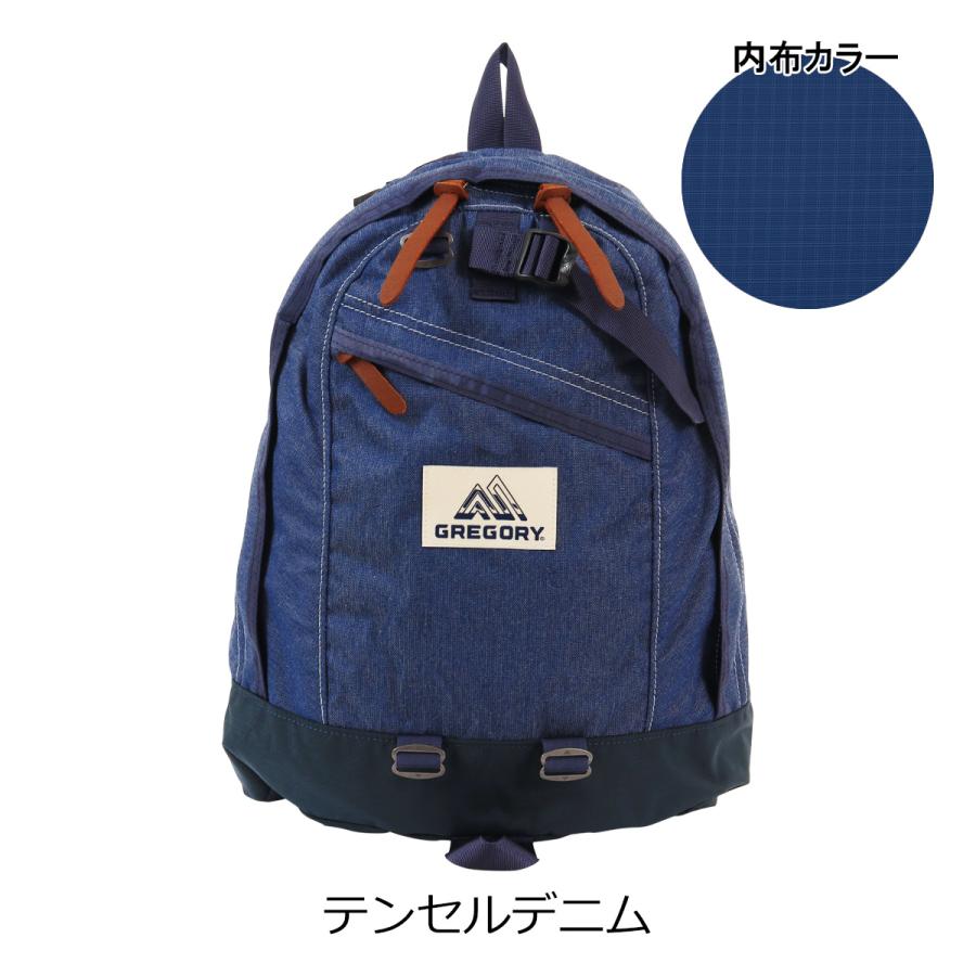 GREGORY グレゴリー リュック 18L ファインデイV2 メンズ