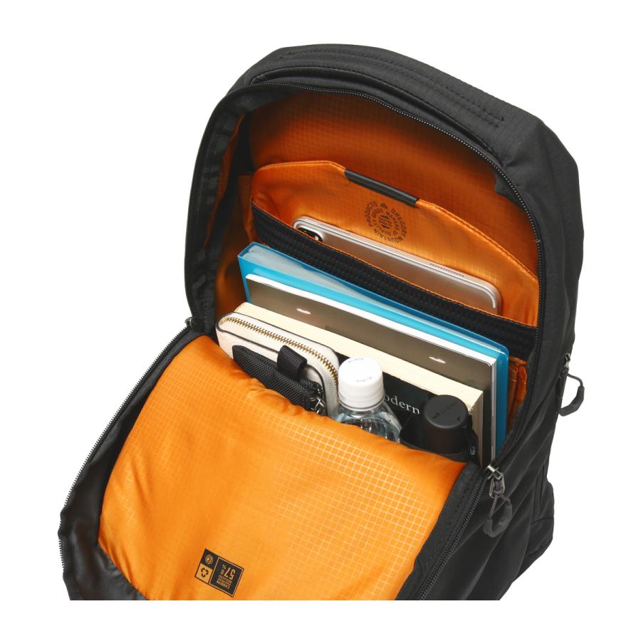 グレゴリー リュック 20L A4 ルーヌ20 GREGORY RHUNE バックパック リュックサック デイパック アウトドア 旅行 ビジネス 通勤 通学 通気性 PC収納の画像