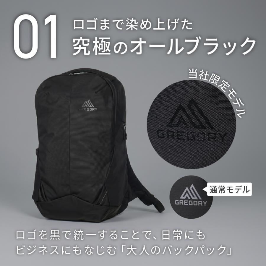 GREGORY（グレゴリー） 別注 リュック ルーヌ22 当社限定 B4 22L 15