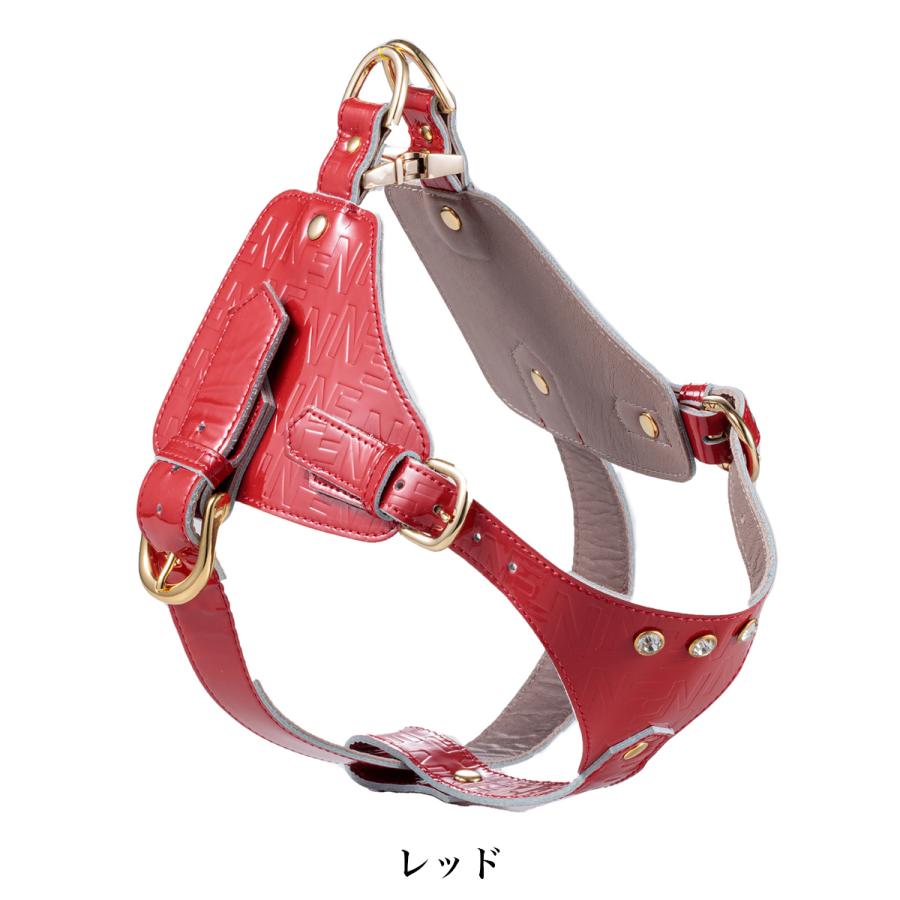 エヌアンドエフ ペット ハーネス＆リードセット 小型犬 ハーネス