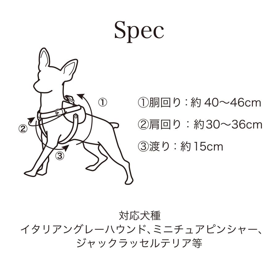 エヌアンドエフ ペット ハーネス＆リードセット 小型犬 ハーネス ボディベルト リード レザー 本革 日本製 N＆F for pets TYPE-C ジュエリータイル