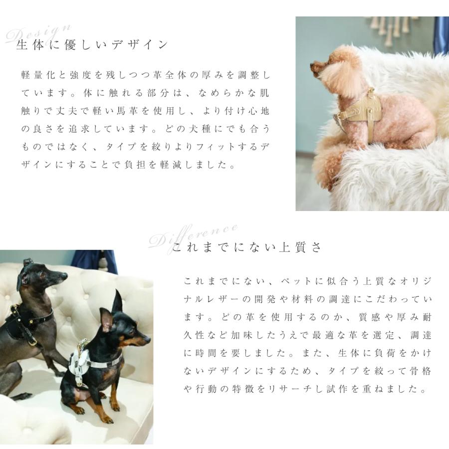 エヌアンドエフ ペット ハーネス＆リードセット 小型犬 ハーネス ボディベルト リード レザー 本革 日本製 N＆F for pets TYPE-C ジュエリータイル