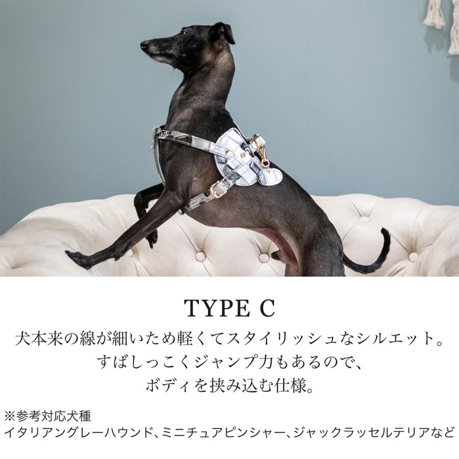 エヌアンドエフ ペット ハーネス＆リードセット 小型犬 ハーネス ボディベルト リード レザー 本革 日本製 N＆F for pets TYPE-C ジュエリータイル
