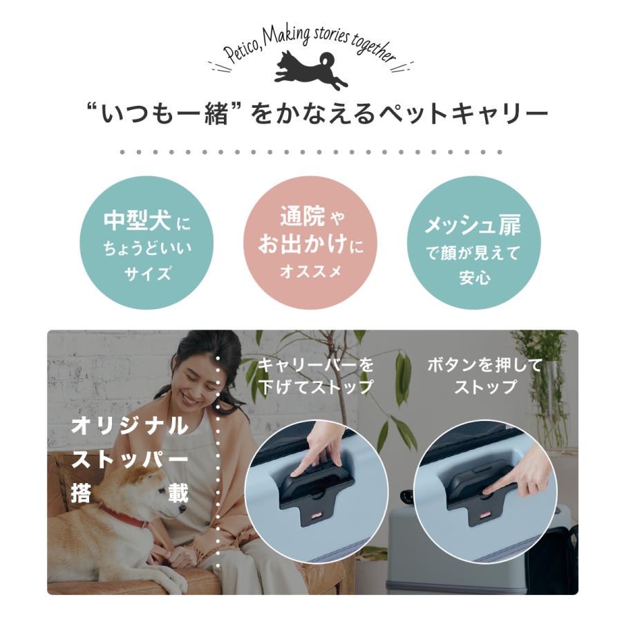 ペットキャリー ペチコ 3001-L PETico 1年保証 犬 ネコ 小型犬 ペットキャリー ペチコ 3001-L PETico 1年保証 犬 ネコ 小型犬