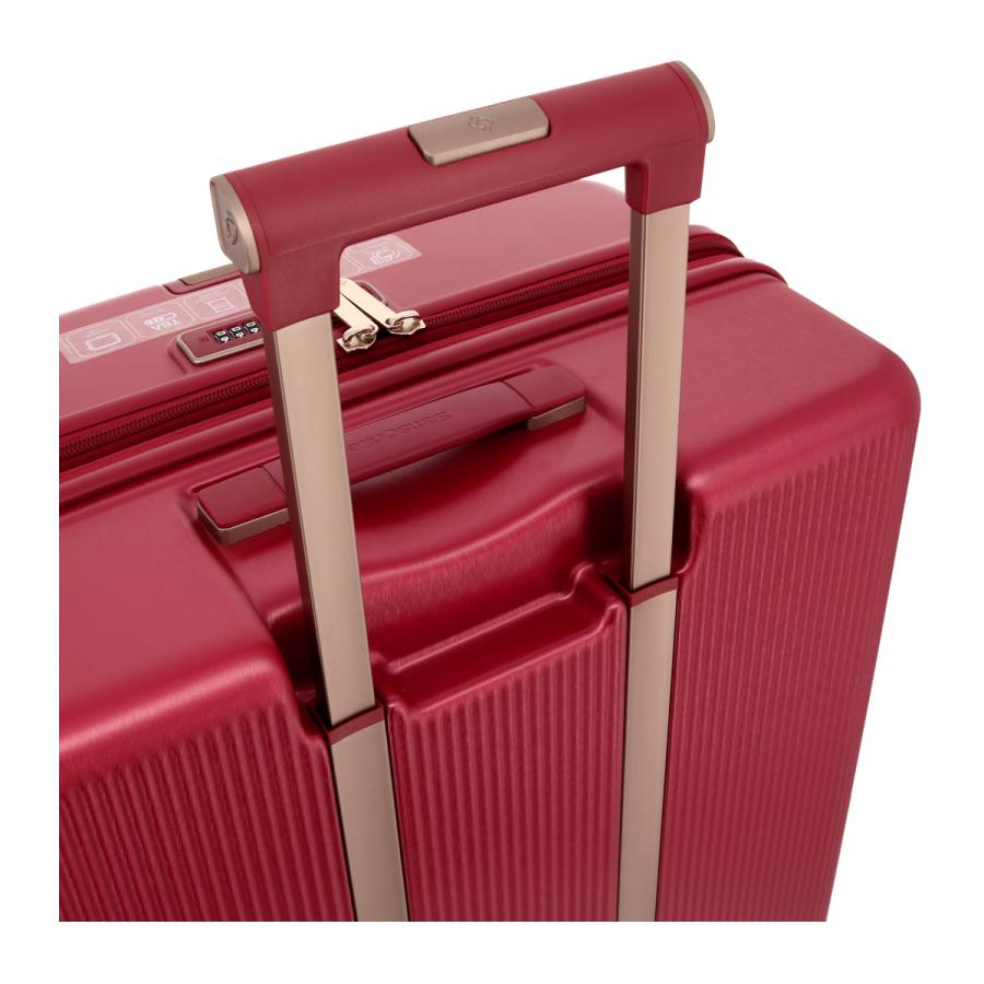 Samsonite（サムソナイト） スーツケース 118L 75cm 5.4kg ミンター