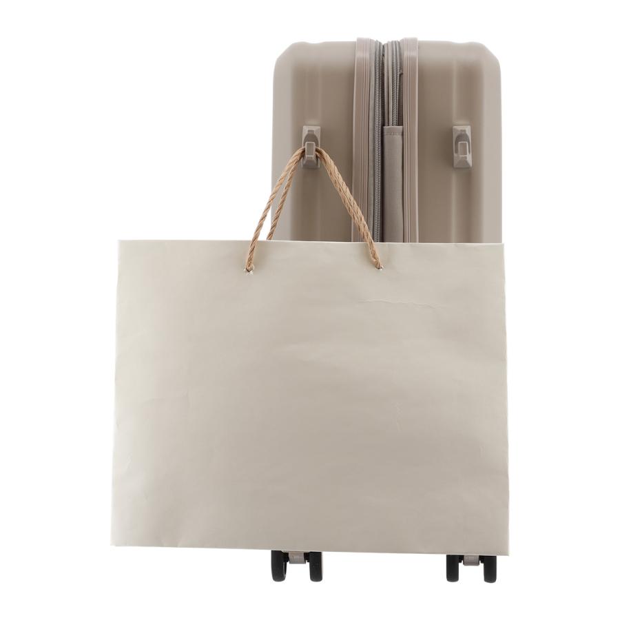 スカイラボ スーツケース 33(36)L 49cm 3.2kgSKY2313-49 SKYLABO | キャリーケース ハードキャリー ファスナー TSロック搭載 エキスパンダブル 拡張の画像