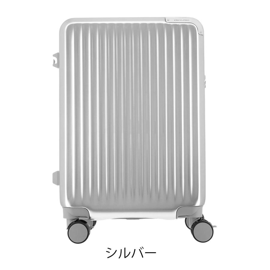 スカイラボ スーツケース 48(55)L 53cm 3.6kgSKY2313-53 SKYLABO