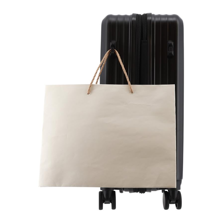 スカイラボ スーツケース 48(55)L 53cm 3.6kgSKY2313-53 SKYLABO | キャリーケース ハードキャリー ファスナー TSロック搭載 エキスパンダブル 拡張の画像