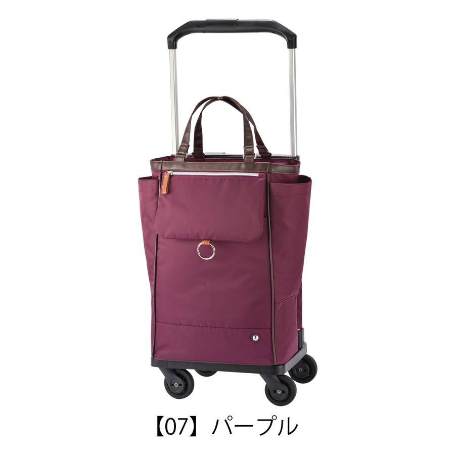 ソエルテ ショッピングカート ショッピングキャリー 21L オートゥイユ