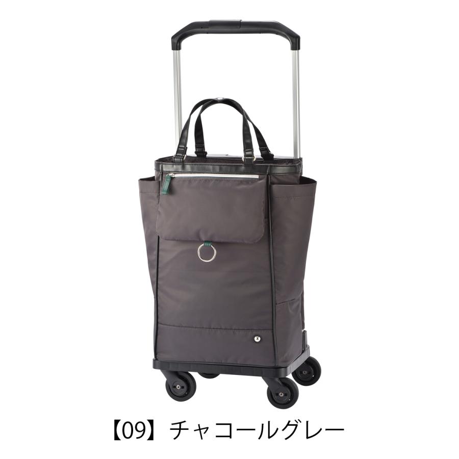 ソエルテ ショッピングカート ショッピングキャリー 21L オートゥイユ