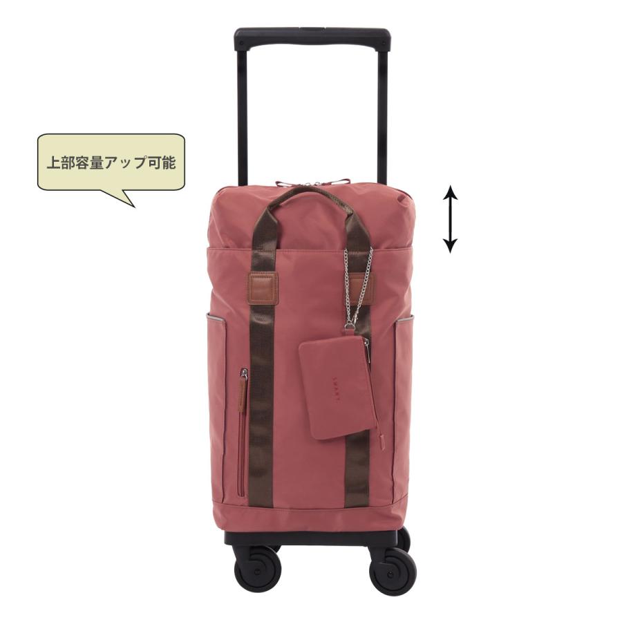 SWANY（スワニー） キャリーバッグ 28L 55cm 2.5kg 当社限定D-692