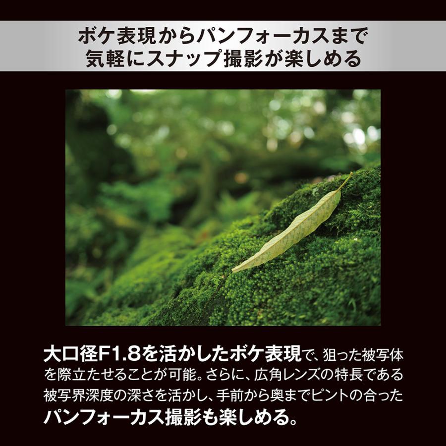 OM SYSTEM オーエムシステム 交換レンズ M.ZUIKO DIGITAL 17mm F1.8 II