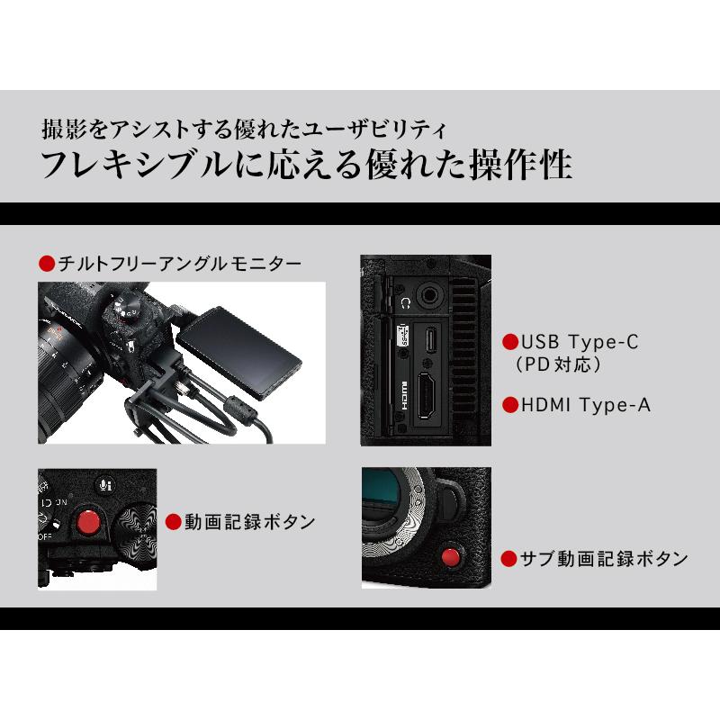 LUMIX パナソニック ミラーレス一眼カメラ GH6 標準ズームレンズ LUMIX パナソニック ミラーレス一眼カメラ GH6 標準ズームレンズ