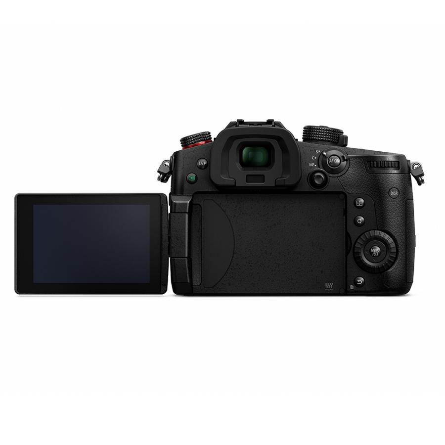 LUMIX パナソニック(Panasonic) LUMIX(ルミックス) ミラーレス LUMIX パナソニック(Panasonic) LUMIX(ルミックス) ミラーレス