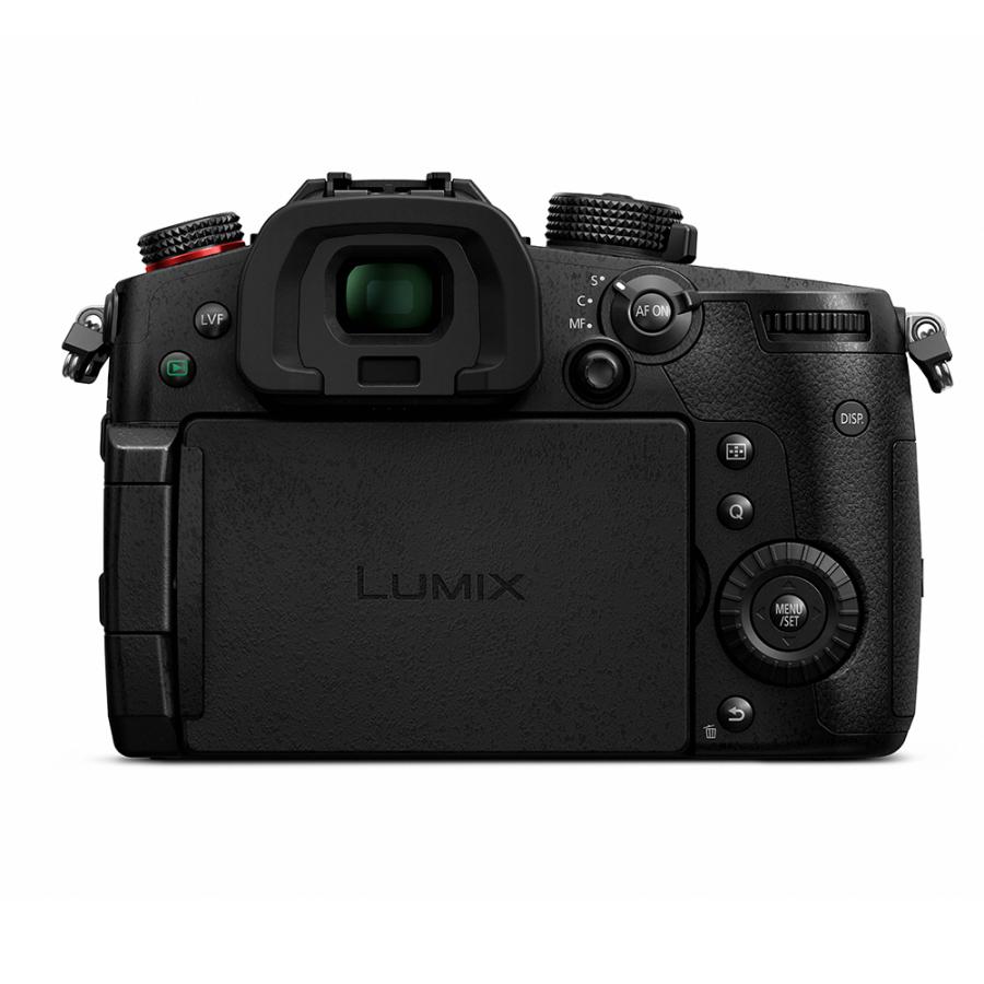 パナソニック(Panasonic) LUMIX(ルミックス) ミラーレス一眼カメラ GH5II  12-60mm標準ズームレンズキット　DC-GH5M2M｜saedaonline｜07