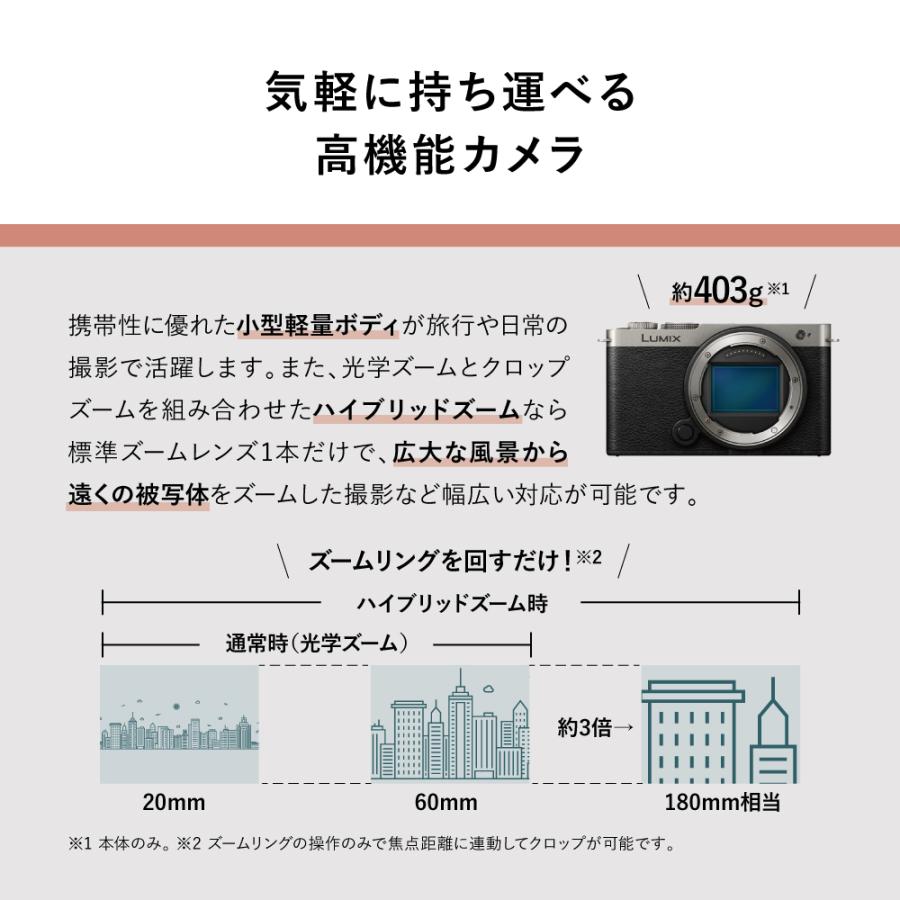 LUMIX パナソニック ミラーレス一眼カメラ S9 広角ズームレンズ LUMIX パナソニック ミラーレス一眼カメラ S9 広角ズームレンズ