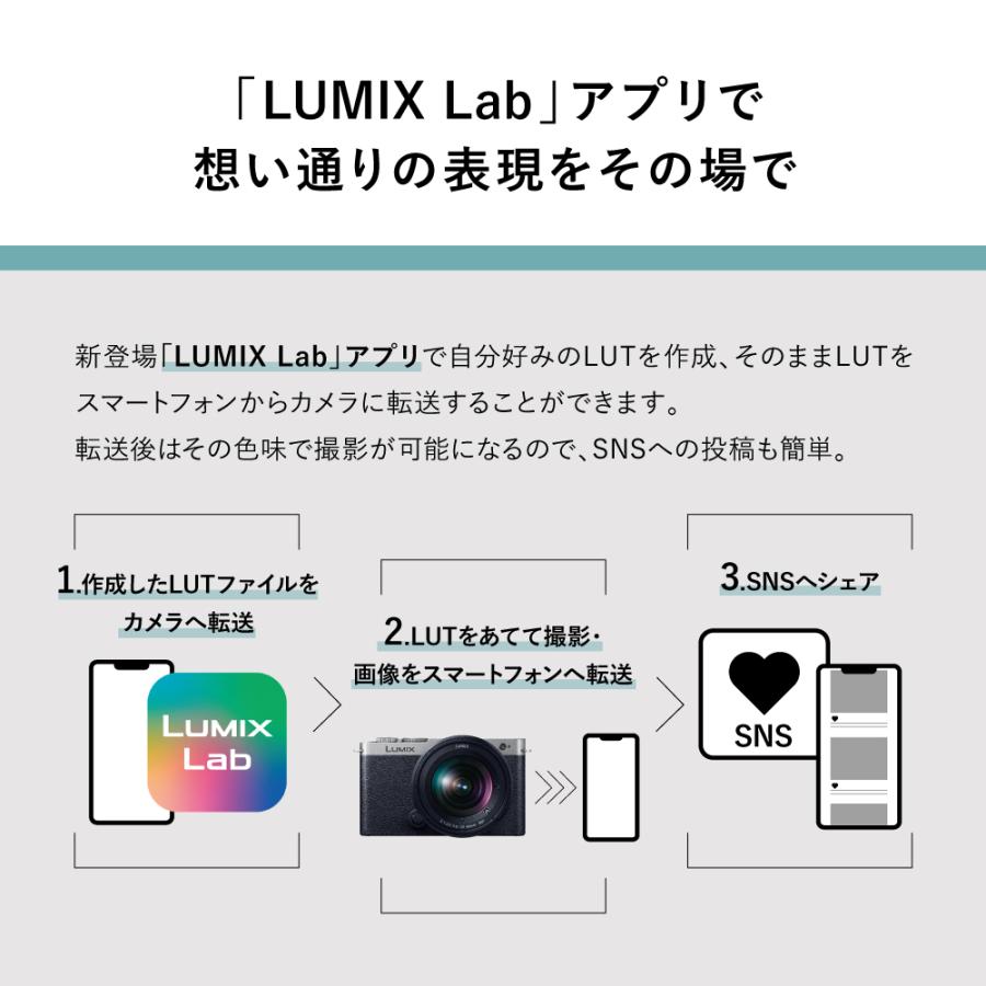 LUMIX パナソニック ミラーレス一眼カメラ S9 広角ズームレンズ LUMIX パナソニック ミラーレス一眼カメラ S9 広角ズームレンズ