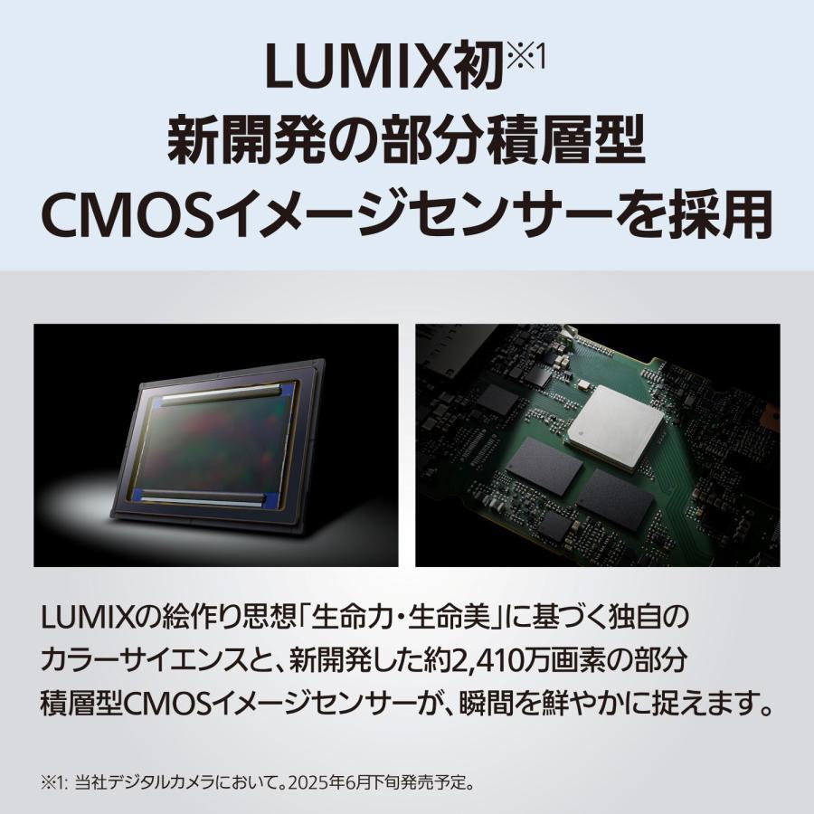 パナソニック LUMIX S1II ボディ フルサイズ ミラーレス一眼カメラ DC-S1M2_4